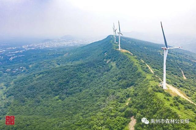 禹州警民合奏护林曲 大刘山上果飘香 禹州警民合奏护林曲 大刘山上果飘香