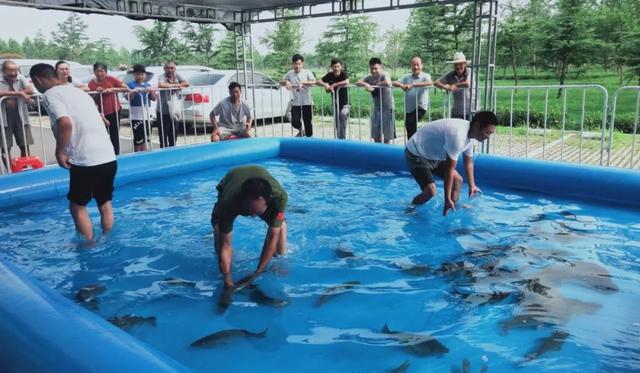 禹州海盛湖滨豪庭真人版捕鱼达人活动圆满成功! 禹州海盛湖滨豪庭真人版捕鱼达人活动圆满成功!