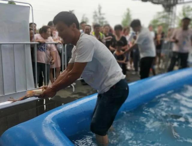 禹州海盛湖滨豪庭真人版捕鱼达人活动圆满成功! 禹州海盛湖滨豪庭真人版捕鱼达人活动圆满成功!