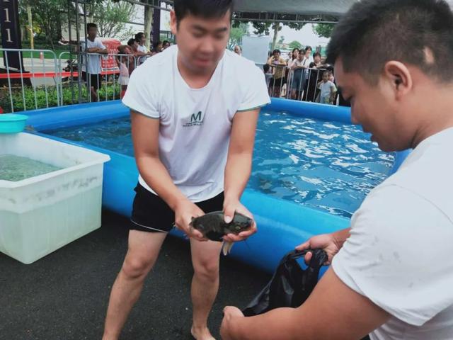 禹州海盛湖滨豪庭真人版捕鱼达人活动圆满成功! 禹州海盛湖滨豪庭真人版捕鱼达人活动圆满成功!