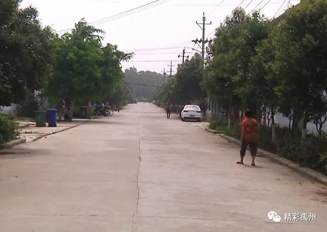 寄情六百年,见证新变化,一棵让禹州这个村骄傲的大槐树 寄情六百年,见证新变化,一棵让禹州这个村骄傲的大槐树