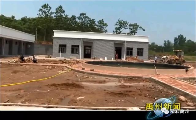 凭啥?央媒对禹州鸿畅镇李金寨村高度称赞! 凭啥?央媒对禹州鸿畅镇李金寨村高度称赞!