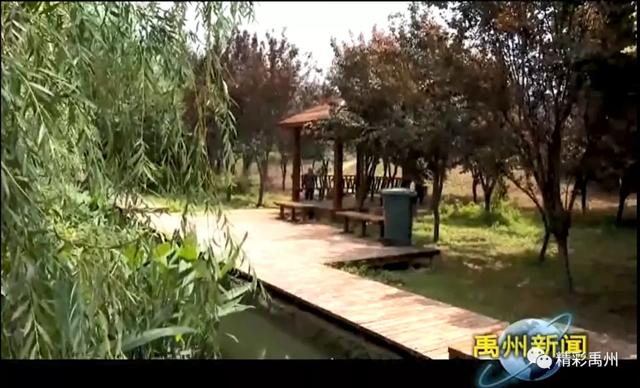 凭啥?央媒对禹州鸿畅镇李金寨村高度称赞! 凭啥?央媒对禹州鸿畅镇李金寨村高度称赞!