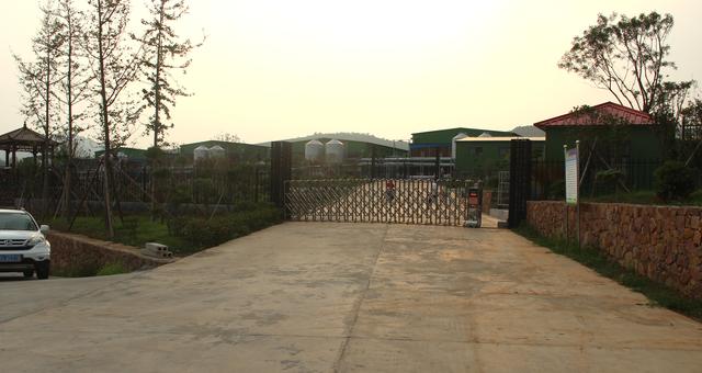 禹州神垕镇罗王村 50万只鸡“唱响”牧业扶贫曲 禹州神垕镇罗王村 50万只鸡“唱响”牧业扶贫曲