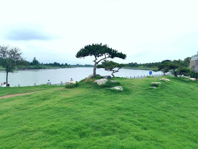 禹州母亲河:水清岸绿生态美 颍河沿岸好风光 禹州母亲河:水清岸绿生态美 颍河沿岸好风光