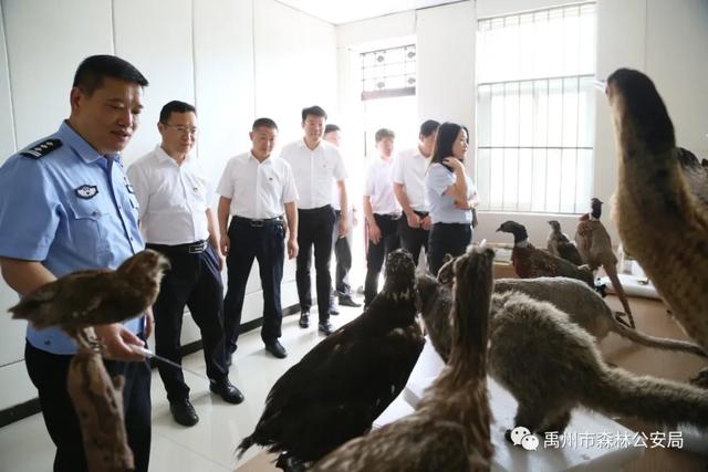 禹州市森林公安局:增进友谊促发展,携手共进创辉煌 禹州市森林公安局:增进友谊促发展,携手共进创辉煌