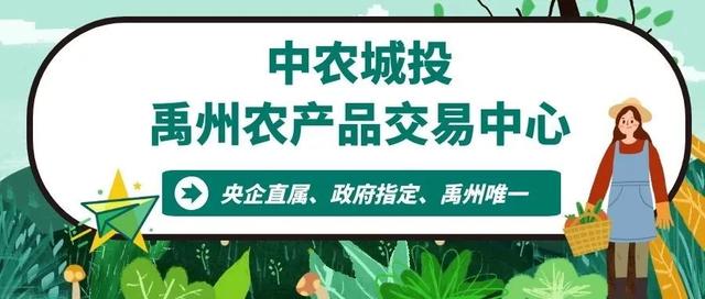 禹州中农城投禹州农产品交易中心 禹州中农城投禹州农产品交易中心