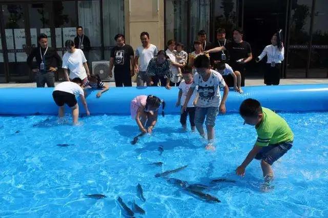 燃情夏日“鱼”你同乐 禹州锦绣华城真人版捕鱼达人火爆来袭! 燃情夏日“鱼”你同乐 禹州锦绣华城真人版捕鱼达人火爆来袭!