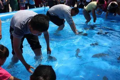 燃情夏日“鱼”你同乐 禹州锦绣华城真人版捕鱼达人火爆来袭! 燃情夏日“鱼”你同乐 禹州锦绣华城真人版捕鱼达人火爆来袭!