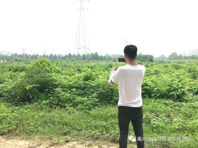 禹州市自然资源和规划局全力推进国土三调统一时点更新调查工作 禹州市自然资源和规划局全力推进国土三调统一时点更新调查工作