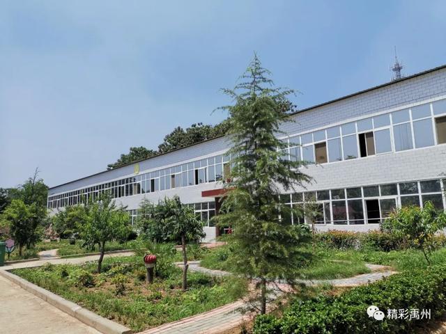 管吃管住管看病,禹州市无梁镇密织扶贫网惠及五保老人 管吃管住管看病,禹州市无梁镇密织扶贫网惠及五保老人