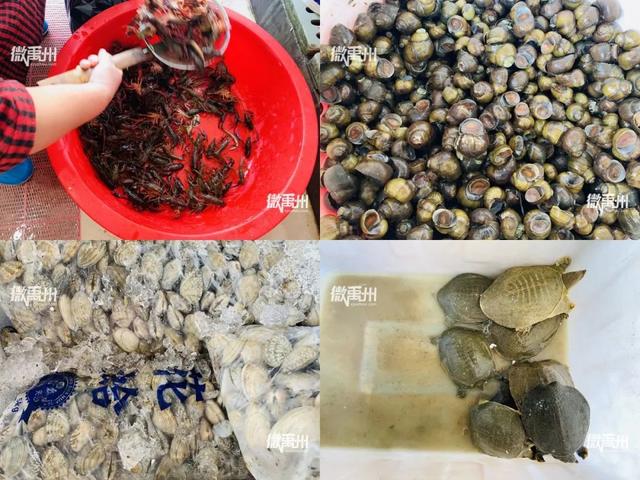 实拍 !改造后的禹州东环路菜市场 实拍 !改造后的禹州东环路菜市场
