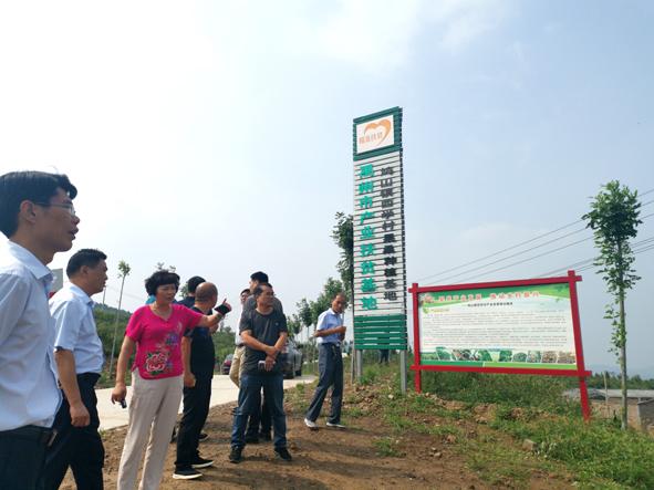 省市媒体莅临禹州市采访脱贫攻坚工作 省市媒体莅临禹州市采访脱贫攻坚工作
