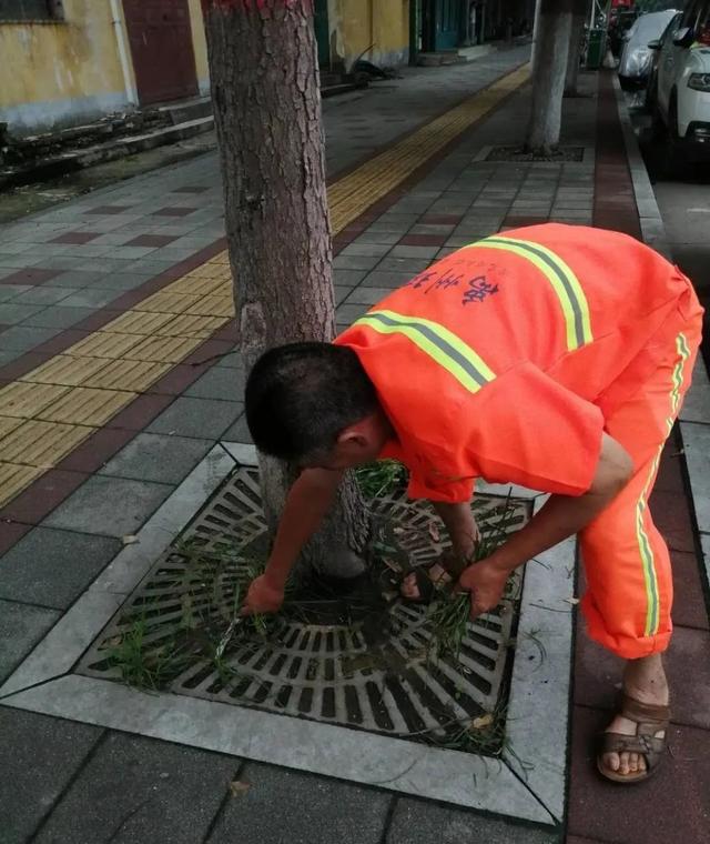 禹州环卫:“洁净”所能清洁城市 精细管理持续提升 禹州环卫:“洁净”所能清洁城市 精细管理持续提升