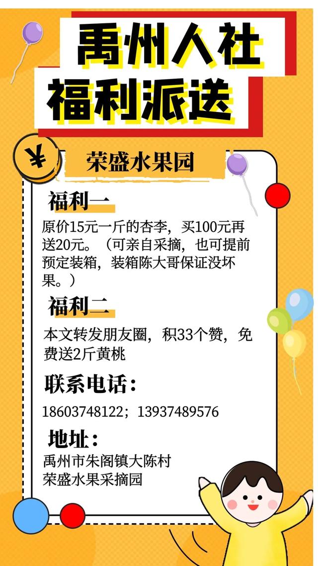 禹州朱阁陈大哥要给大家免费送“美国恐龙蛋”,啥情况? 禹州朱阁陈大哥要给大家免费送“美国恐龙蛋”,啥情况?