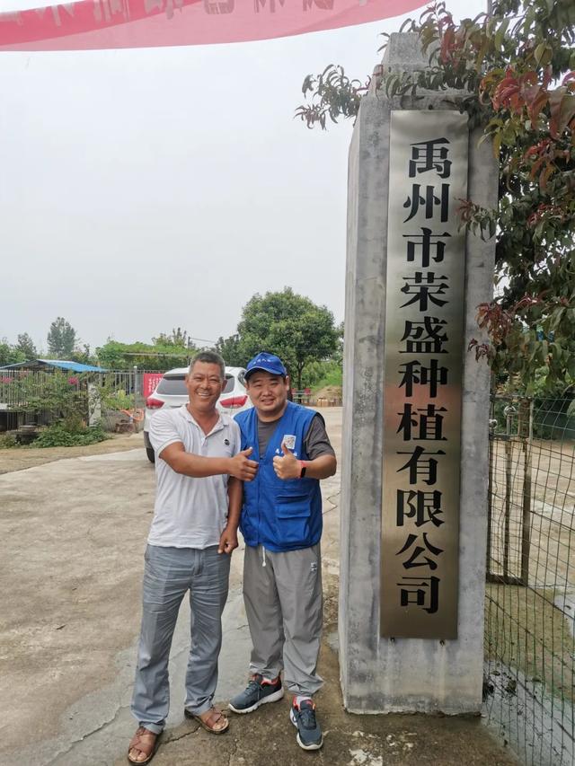 禹州朱阁陈大哥要给大家免费送“美国恐龙蛋”,啥情况? 禹州朱阁陈大哥要给大家免费送“美国恐龙蛋”,啥情况?