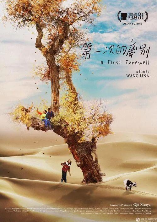 禹州开元奥斯卡影城营业啦!!! 禹州开元奥斯卡影城营业啦!!!