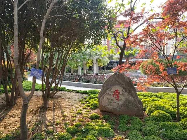 禹州市第四高级中学2020高考喜报 禹州市第四高级中学2020高考喜报