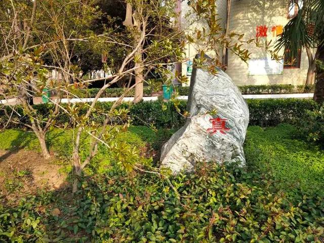 禹州市第四高级中学2020高考喜报 禹州市第四高级中学2020高考喜报