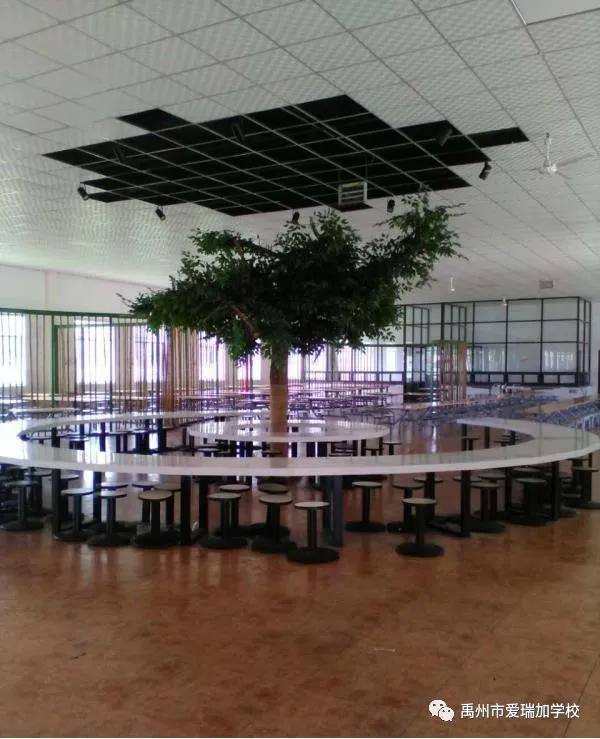 禹州市爱瑞加学校中学部招生啦! 禹州市爱瑞加学校中学部招生啦!