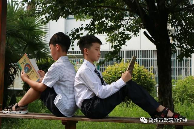 禹州市爱瑞加学校中学部招生啦! 禹州市爱瑞加学校中学部招生啦!