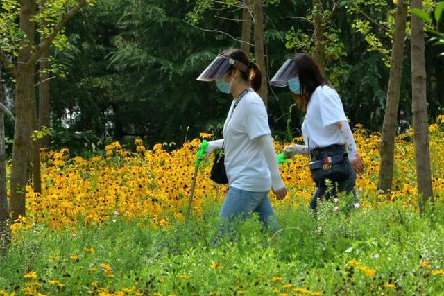 禹州市场监管局共筑文明新风,让城市更美好 禹州市场监管局共筑文明新风,让城市更美好