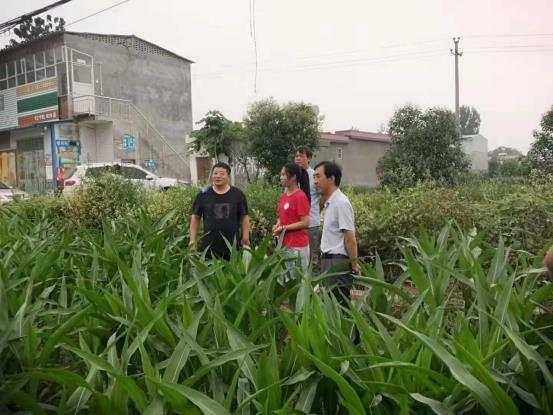 禹州偏远乡村的科技小院 禹州偏远乡村的科技小院