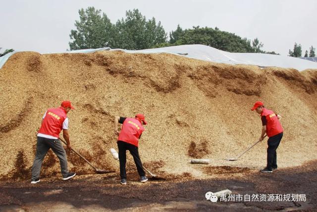 禹州市自然资源和规划局为创建全国文明城市加油助力 禹州市自然资源和规划局为创建全国文明城市加油助力