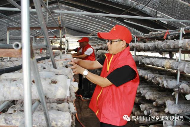 禹州市自然资源和规划局为创建全国文明城市加油助力 禹州市自然资源和规划局为创建全国文明城市加油助力