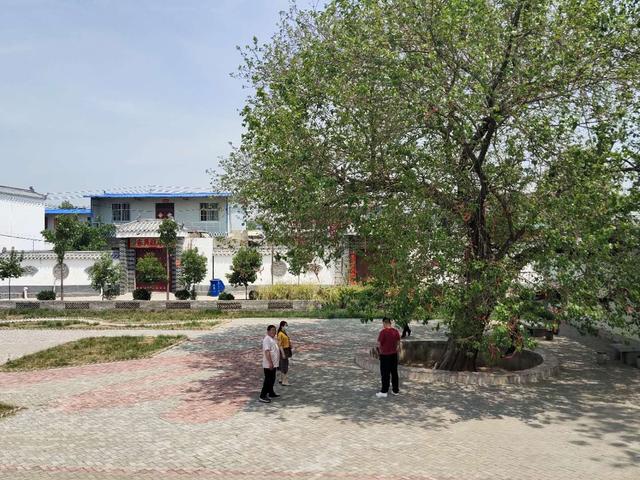 禹州美丽乡村在鸿畅展开画卷 禹州美丽乡村在鸿畅展开画卷