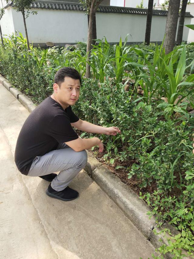 禹州鸿畅镇东高村:省定贫困村的蜕变 禹州鸿畅镇东高村:省定贫困村的蜕变