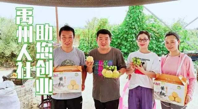 禹州人社帮帮帮助推全市创文,助力农户致富! 禹州人社帮帮帮助推全市创文,助力农户致富!