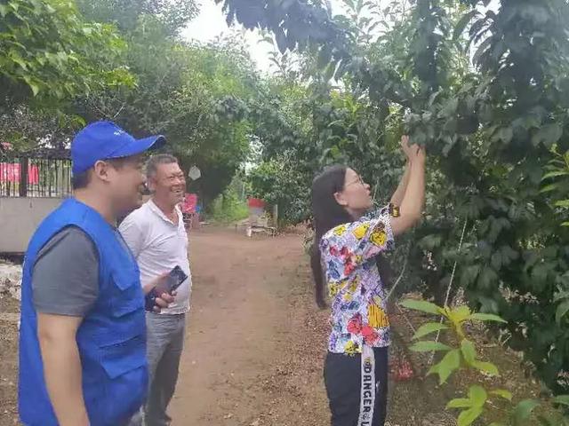 禹州人社帮帮帮助推全市创文,助力农户致富! 禹州人社帮帮帮助推全市创文,助力农户致富!