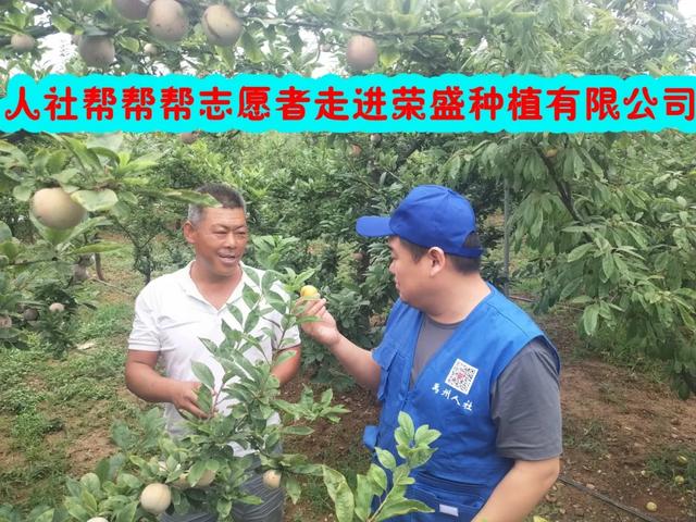 禹州人社帮帮帮助推全市创文,助力农户致富! 禹州人社帮帮帮助推全市创文,助力农户致富!