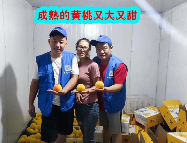 禹州人社帮帮帮助推全市创文,助力农户致富! 禹州人社帮帮帮助推全市创文,助力农户致富!