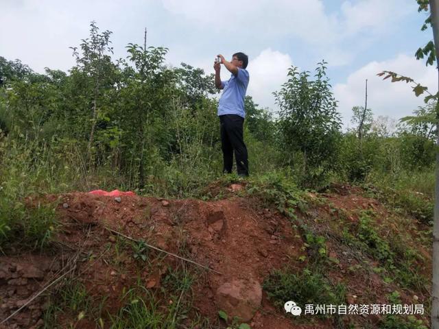 禹州市自然资源和规划局加快推进动态遥感监测监管平台应用工作 禹州市自然资源和规划局加快推进动态遥感监测监管平台应用工作