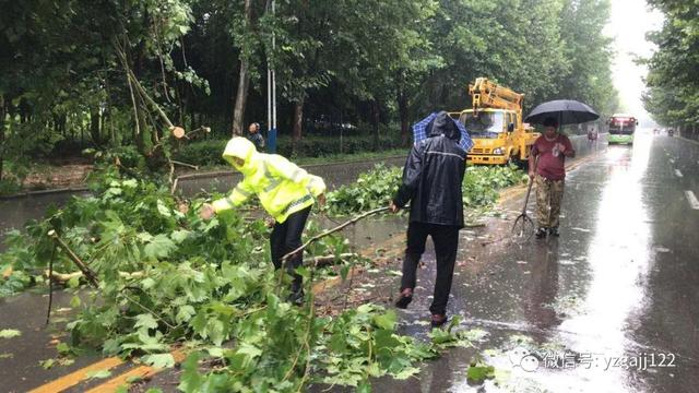 禹州交警曝光75人,请大家引以为戒 禹州交警曝光75人,请大家引以为戒