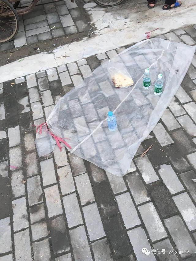 禹州交警曝光75人,请大家引以为戒 禹州交警曝光75人,请大家引以为戒