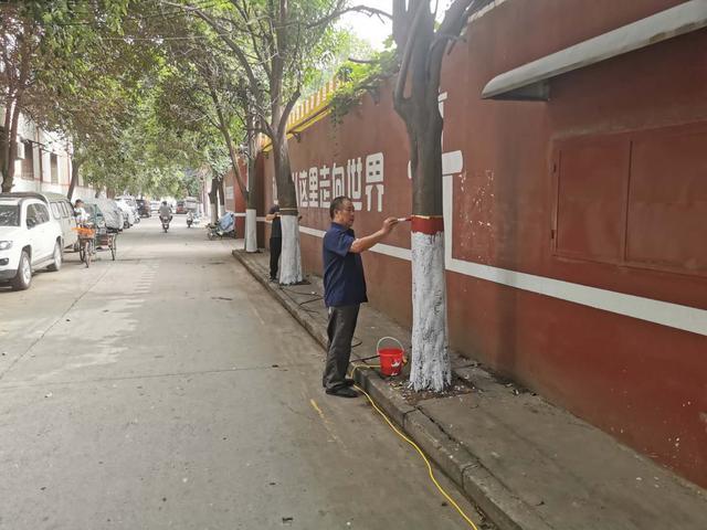 禹州夏都街道:“三个强化”做好文明城市争创工作 禹州夏都街道:“三个强化”做好文明城市争创工作