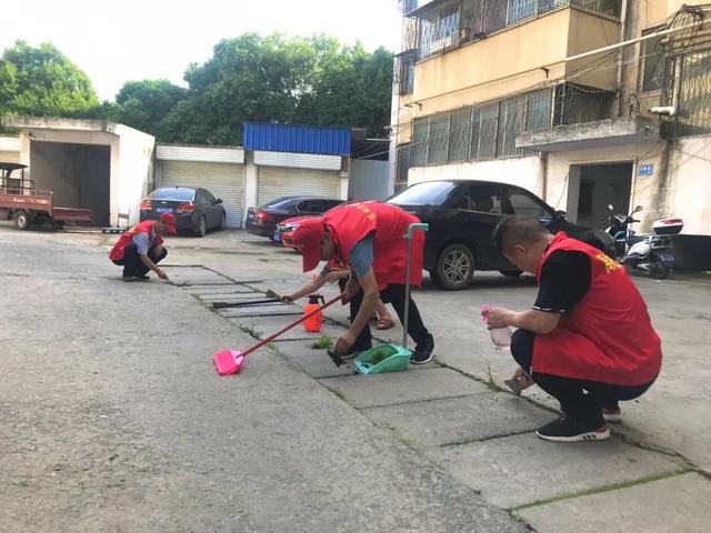 禹州市新华书店党员志愿服务队走进北街社区 禹州市新华书店党员志愿服务队走进北街社区