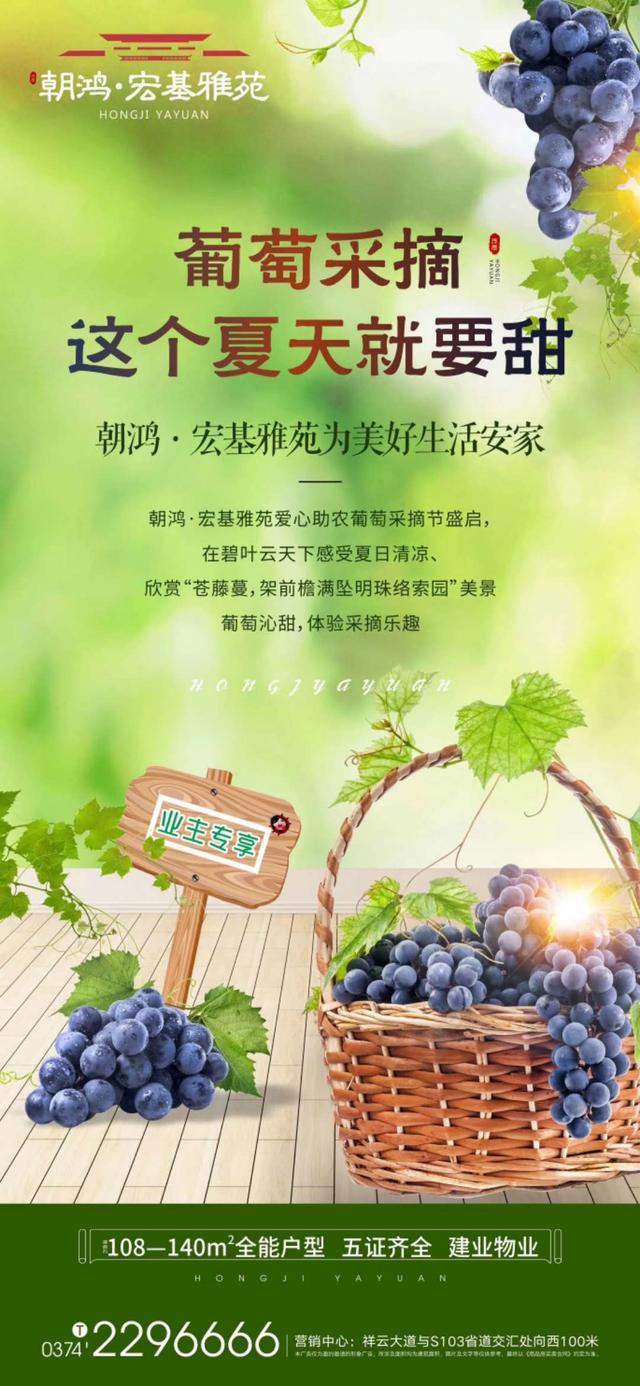 禹州宏基雅苑爱心助农葡萄采摘节盛启