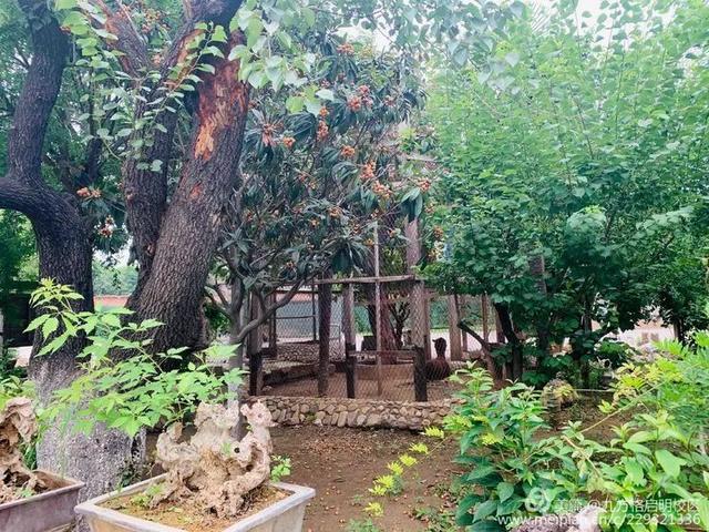 禹州九方格启明学校升级焕新!招生招聘开启! 禹州九方格启明学校升级焕新!招生招聘开启!