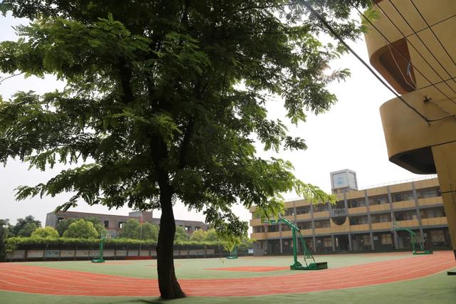 禹州九方格启明学校升级焕新!招生招聘开启! 禹州九方格启明学校升级焕新!招生招聘开启!