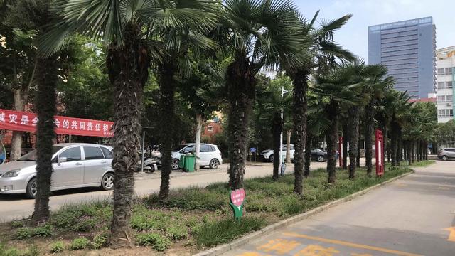 禹州市交通运输局组织开展“文明社区共建志愿服务”活动 禹州市交通运输局组织开展“文明社区共建志愿服务”活动