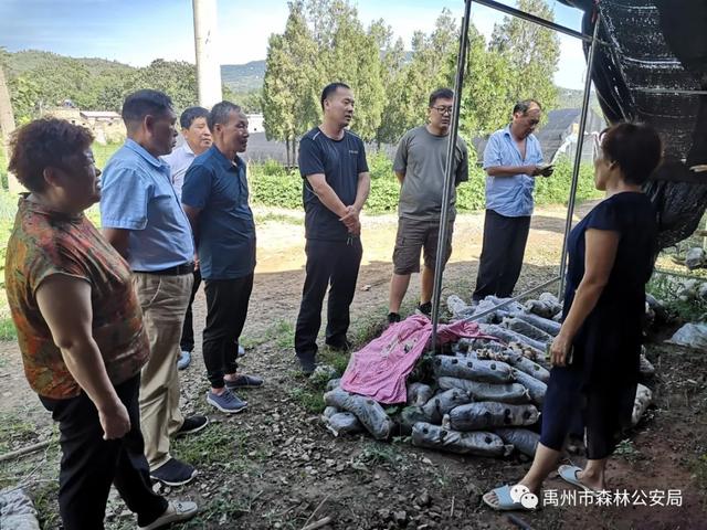 禹州焦家庄村产业发展的引路人 ——记驻焦家庄村第一书记李操敏 禹州焦家庄村产业发展的引路人 ——记驻焦家庄村第一书记李操敏