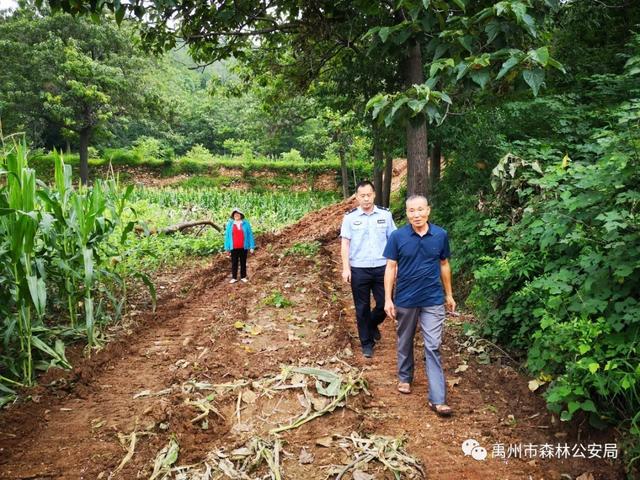 禹州焦家庄村产业发展的引路人 ——记驻焦家庄村第一书记李操敏 禹州焦家庄村产业发展的引路人 ——记驻焦家庄村第一书记李操敏