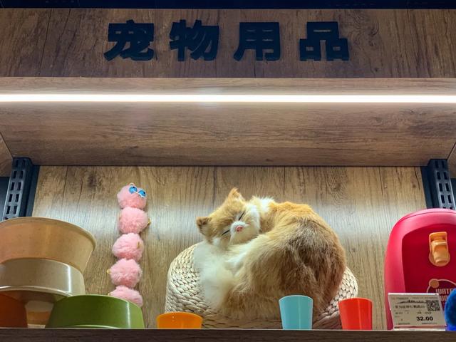 2020年8月16日胖东来禹州店开业 2020年8月16日胖东来禹州店开业
