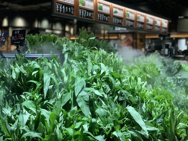2020年8月16日胖东来禹州店开业 2020年8月16日胖东来禹州店开业