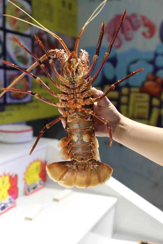 禹州天天渔港搞事情啦!海鲜宴盛大开启! 禹州天天渔港搞事情啦!海鲜宴盛大开启!