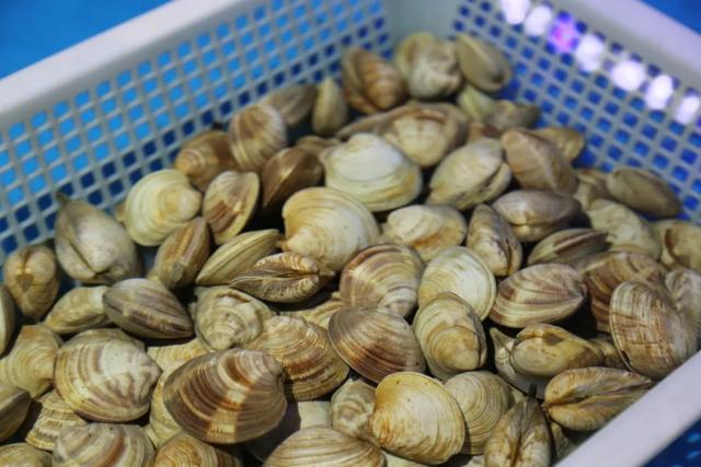 禹州天天渔港搞事情啦!海鲜宴盛大开启! 禹州天天渔港搞事情啦!海鲜宴盛大开启!
